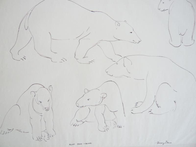 Polar Bear + Brumas, April 2nd, 2023